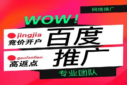 百度推广返点案例：助力企业拓展市场